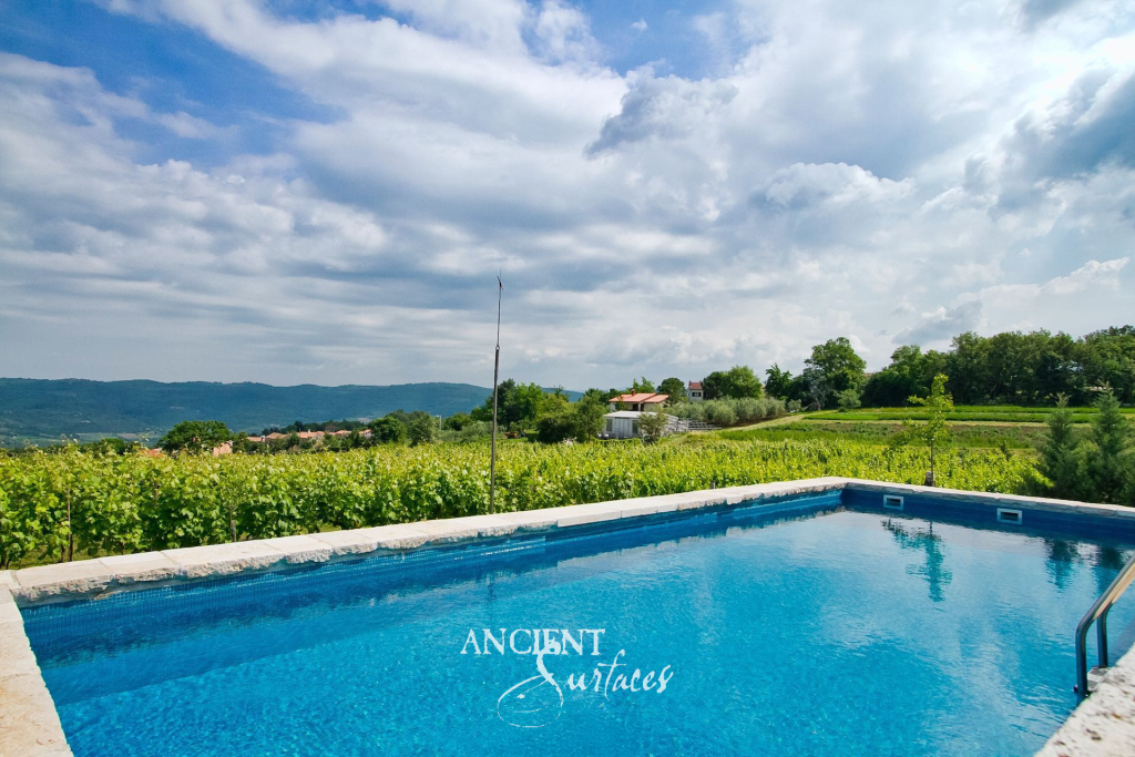 Antique limestone pool coping running along the water's edge above rows of vines and open hill country