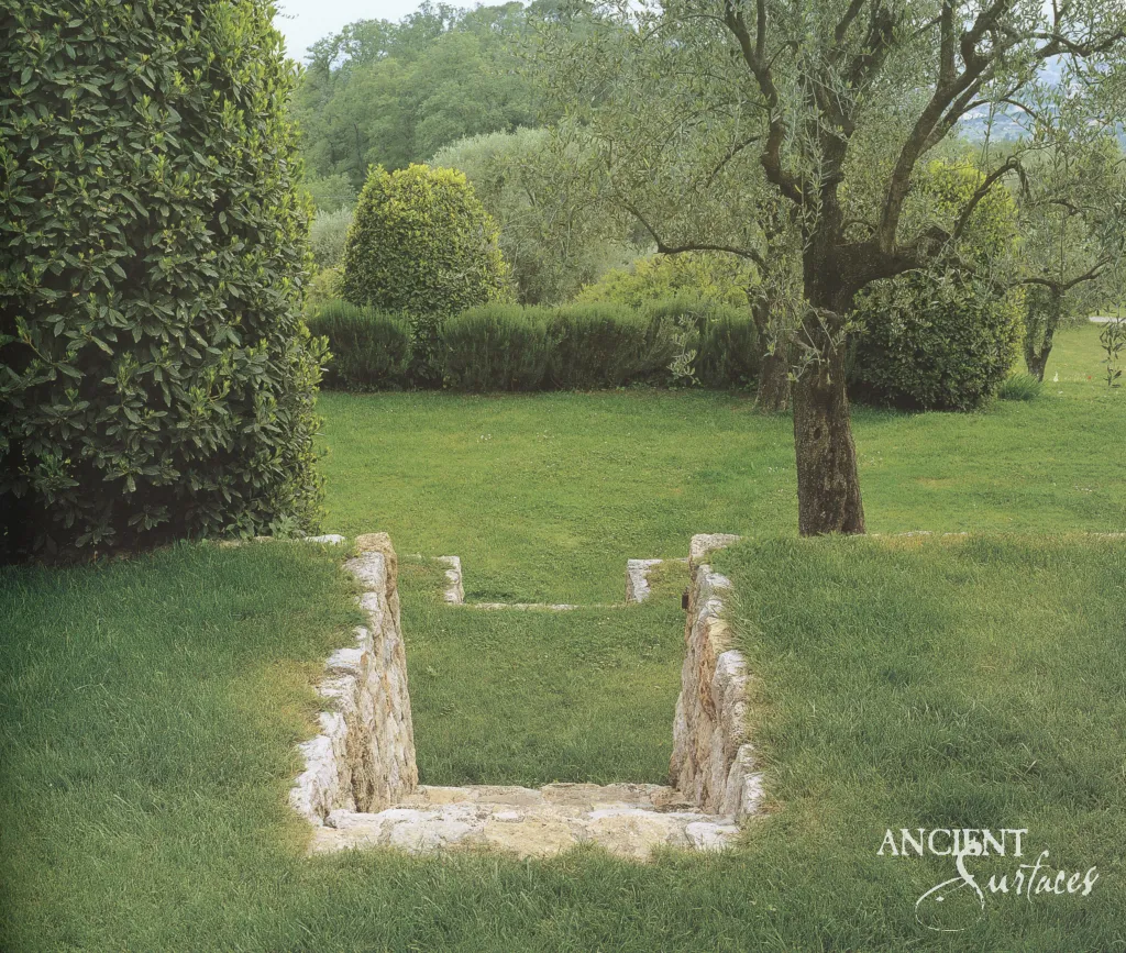 Sunken stairway of limestone blocks chiseled by hand, cut into a lawn beneath an old olive tree